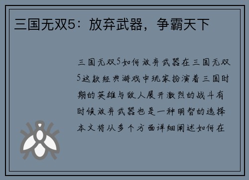 三国无双5：放弃武器，争霸天下